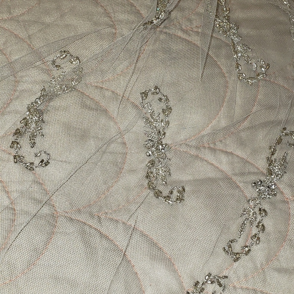 Veil - Picture 5 of 8
